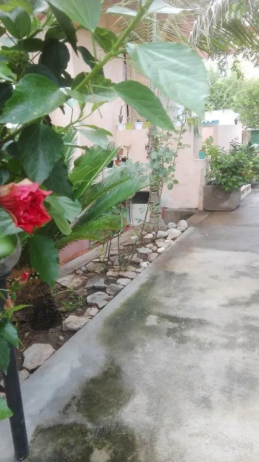 Casa Vacanza Su Bonu Acatu Holiday home Cabras
